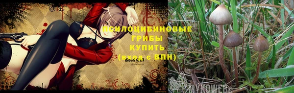 MDMA Беломорск